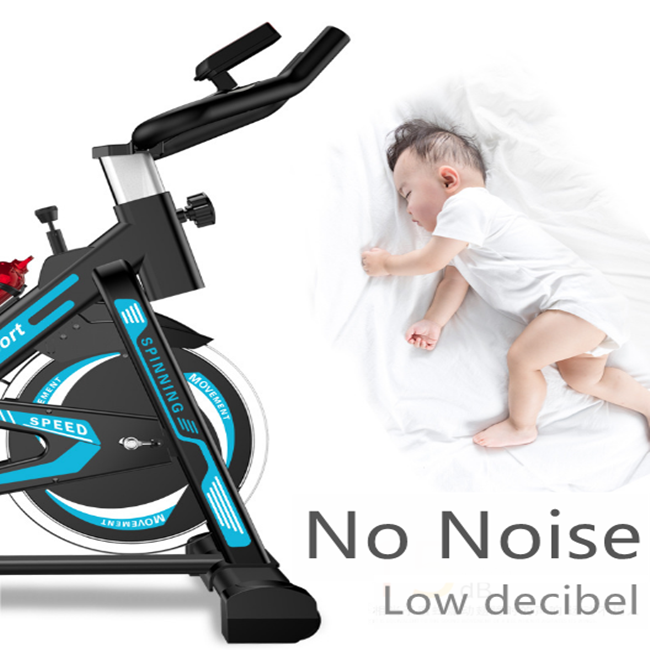 Riemaangedreven hometrainer, u - Exercise Bike Magnetic Resistance recensie en prijs
